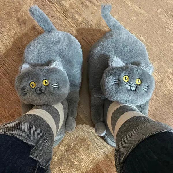 Cat Slippers